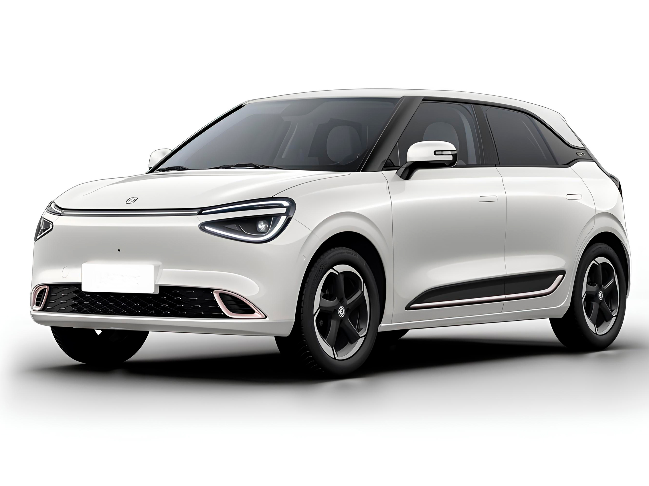 Auto Electrico Compacto <br> 